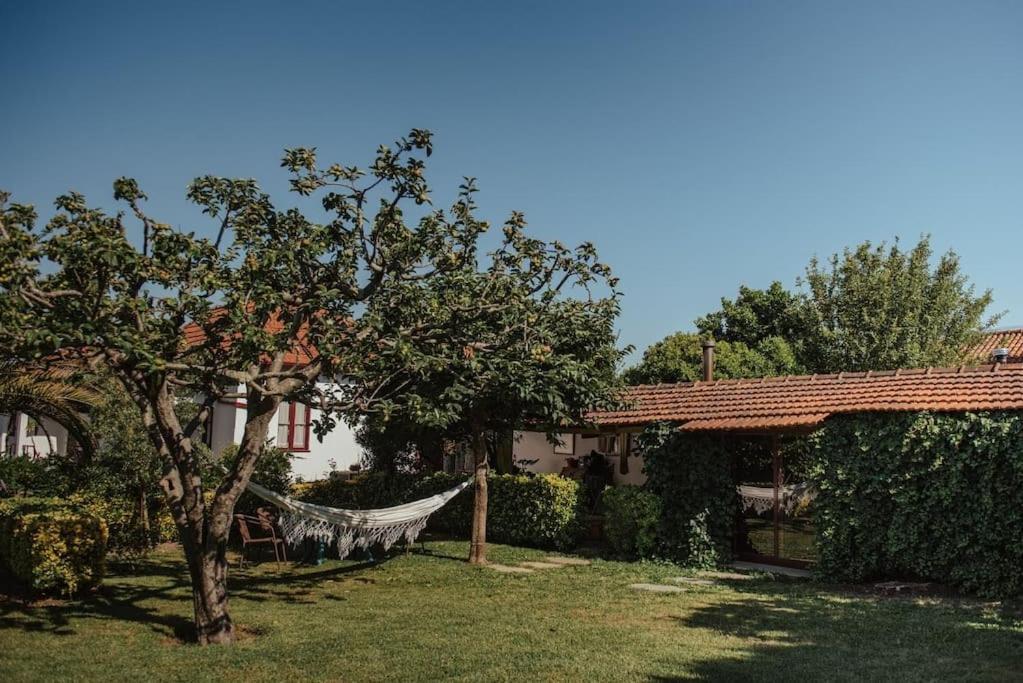 Villa Casa De Marlaes Lousada Exterior foto