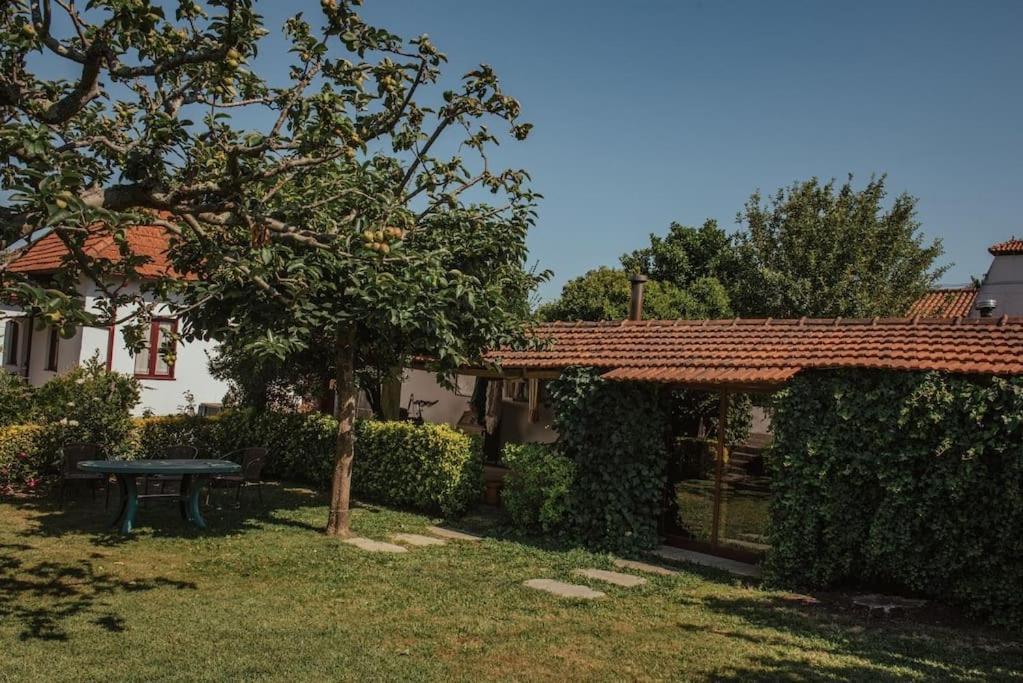 Villa Casa De Marlaes Lousada Exterior foto