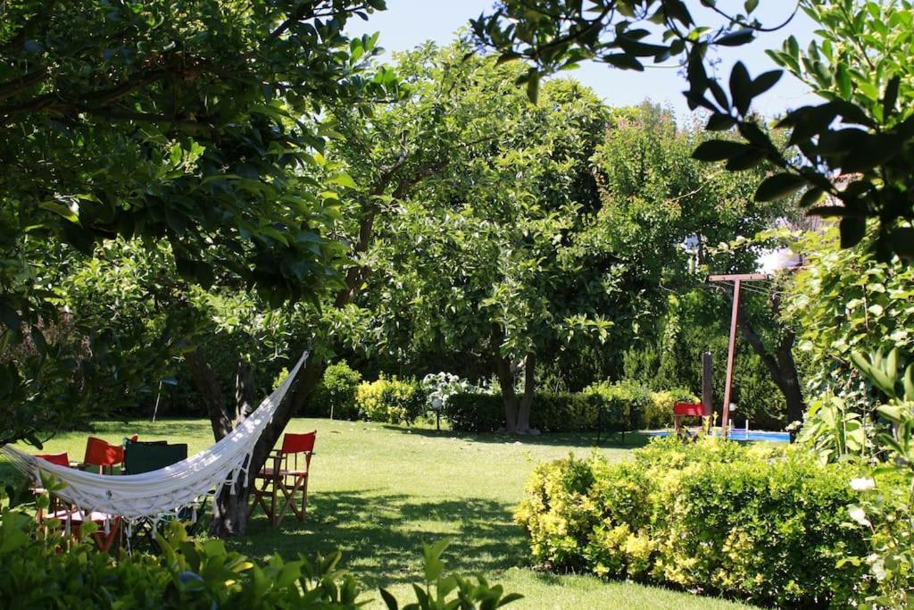 Villa Casa De Marlaes Lousada Exterior foto